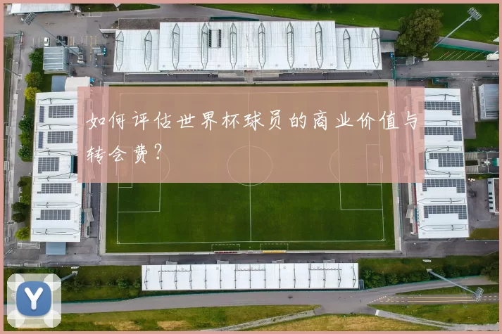 如何评估世界杯球员的商业价值与转会费?