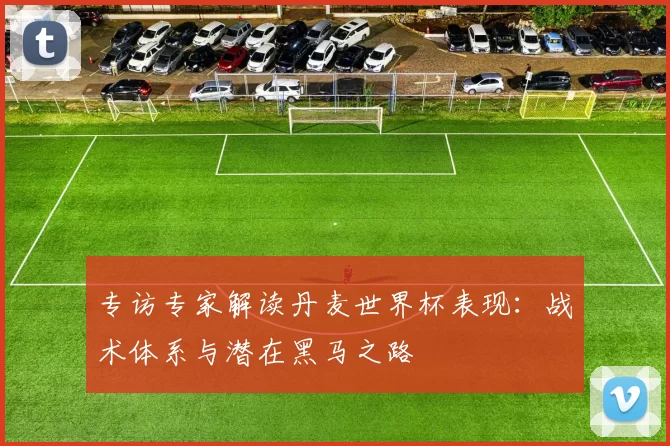 专访专家解读丹麦世界杯表现：战术体系与潜在黑马之路