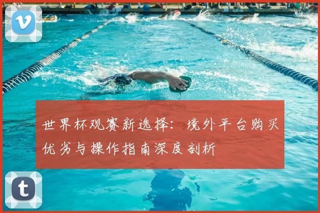 世界杯观赛新选择:境外平台购买优劣与操作指南深度剖析