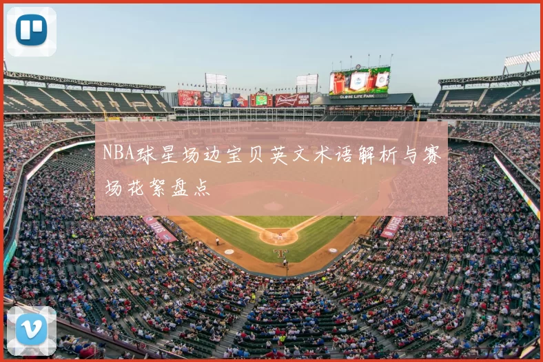 NBA球星场边宝贝英文术语解析与赛场花絮盘点