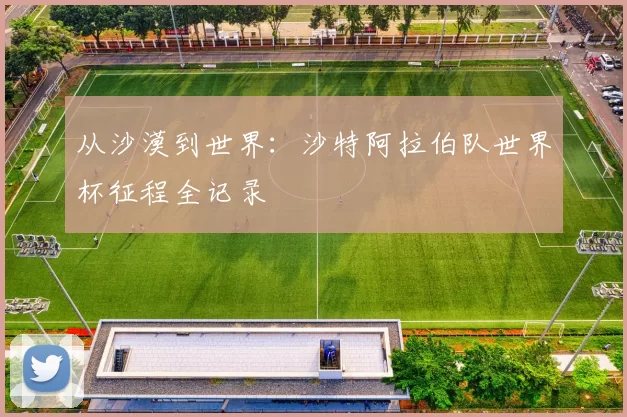从沙漠到世界:沙特阿拉伯队世界杯征程全记录