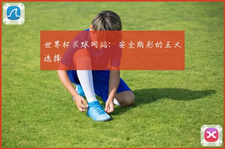 世界杯买球网站:安全购彩的五大选择