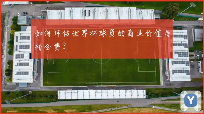 如何评估世界杯球员的商业价值与转会费？