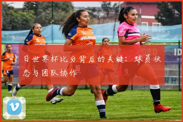 日世界杯比分背后的关键：球员状态与团队协作